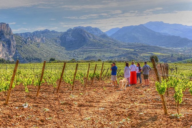 Rioja Like A Native Wine Tour - Key things you should know before you go
