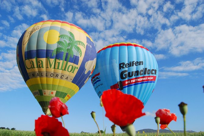 Romantic Sunrise Balloon Tour in Majorca - Price, group size, and what you actually get for $229.77