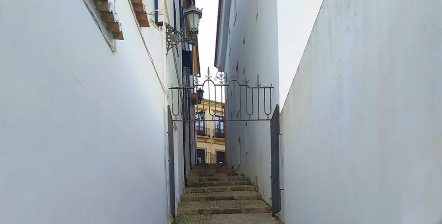 Ronda and Setenil Tour with Free Time and Map from Málaga - Timing and comfort: what the 9 hours really mean for your day