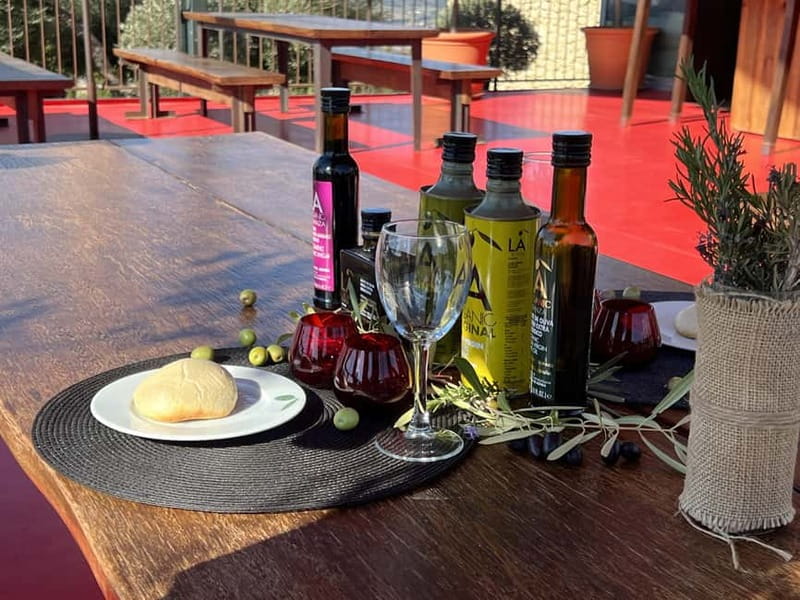 Ronda: LA Almazara LA Organic, Olive Oil Museum and Tasting - Key highlights you will care about