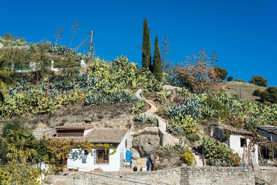Sacromonte Caves Museum Admission Ticket - Flamenco in Sacromonte: why the music is part of the museum story