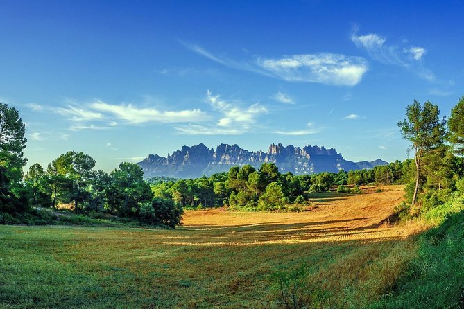 Sagrada Familia & Montserrat Small Group Tour with Hotel pick-up - Optional rack railway, and what to do with your time up top