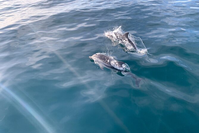 Sailing Adventure: Sailing, Dolphins and Relaxation with Drinks - Key Points at a Glance