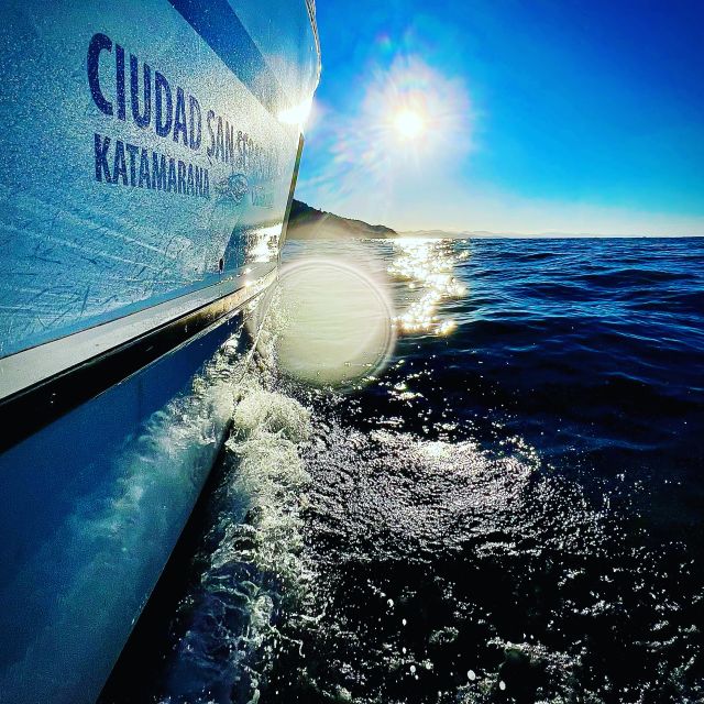 San Sebastian: Sustainable Catamaran Cruise with Audio Guide - Key highlights I’d bookmark