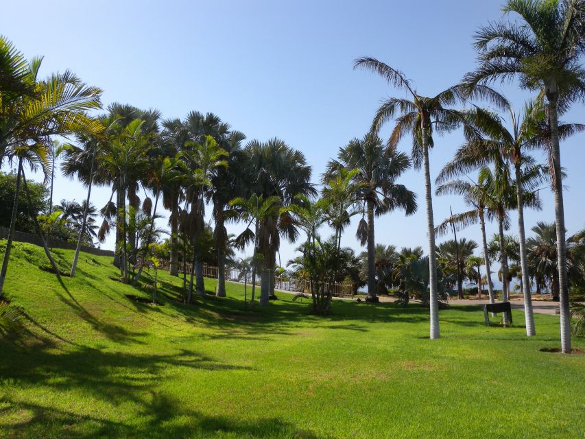 Santa Cruz de Tenerife Palmetum Entry Ticket - Key highlights to put on your radar