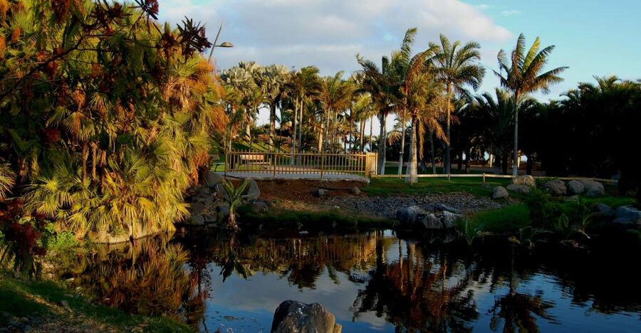 Santa Cruz de Tenerife Palmetum Entry Ticket - A palm garden with ocean views, built where the city threw away its trash