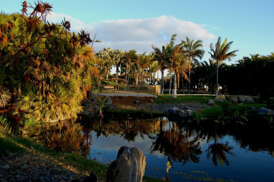 Santa Cruz de Tenerife Palmetum Entry Ticket - Arriving at the entrance: how the first part of the walk sets the tone