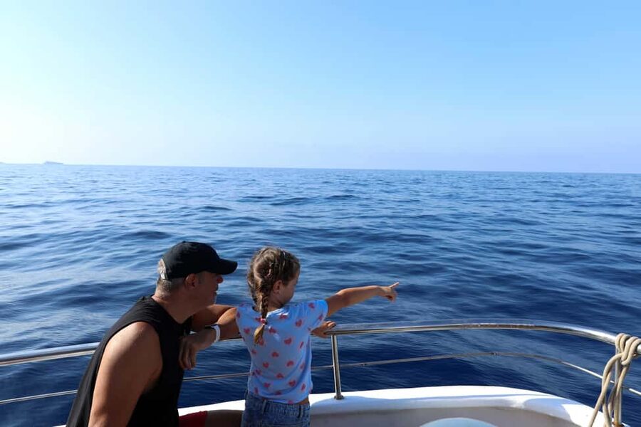 Santa Ponsa: Dolphin Watching Cruise - Who This Cruise Suits Best (and Who Might Pass)