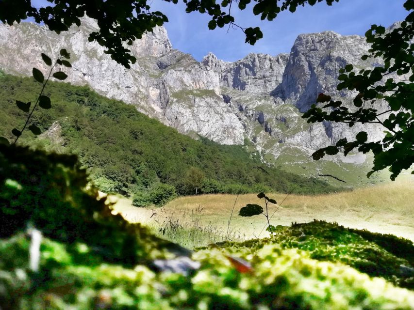 Santander: Picos, Santo Toribio Monastery and Potes Day Tour - Picos to Potes: Why This Town Stop Feels Like a Vacation, Not a Break