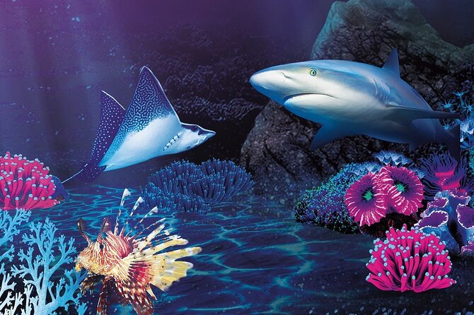 Sealife Benalmadena Entrance Ticket - Price and Value: Is $25.23 Worth It?