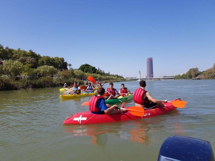 Sevilla: Kayak Rental on the Guadalquivir - Wildlife on the Guadalquivir: Turtles, Birds, and Ducks Up Close