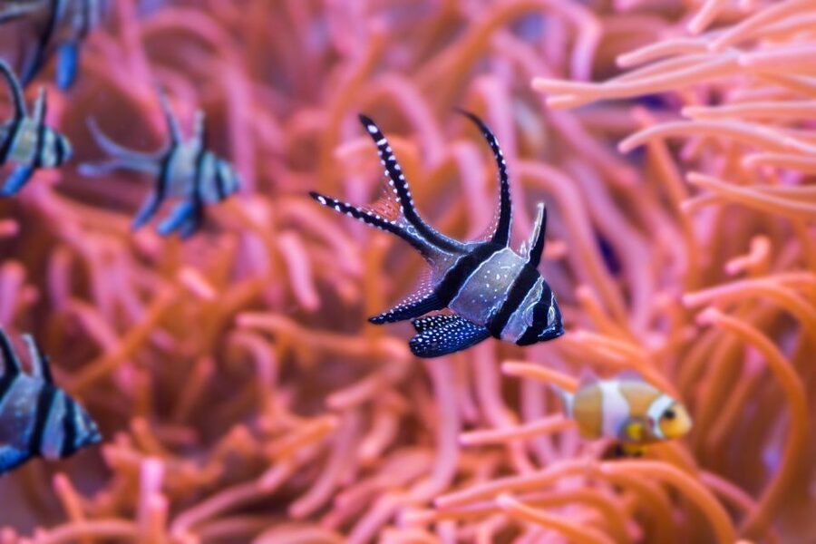 Seville Aquarium Admission Ticket - Gift shop and snacks: what to do after you see the tanks