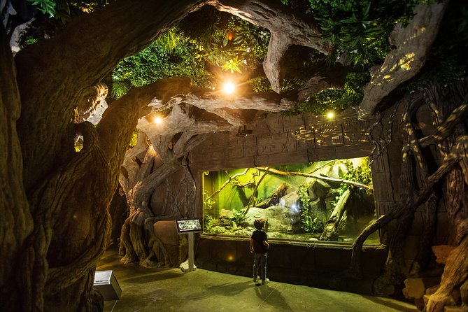 Seville Aquarium Admission Ticket - The big viewing chamber: rays, turtles, and that glass tunnel feeling