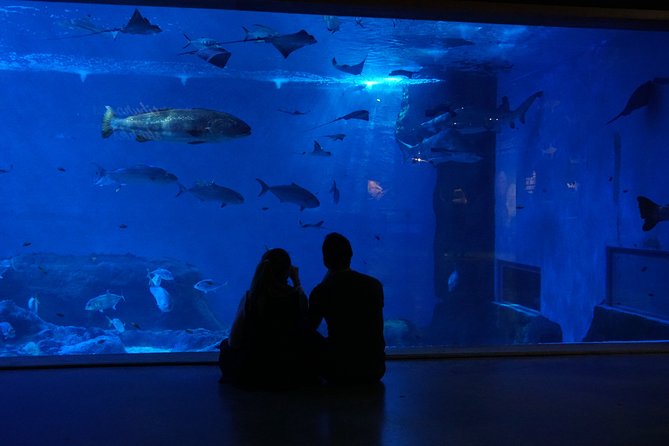 Seville Aquarium Admission Ticket - Getting there is easy: bus, metro, bike, or car parking