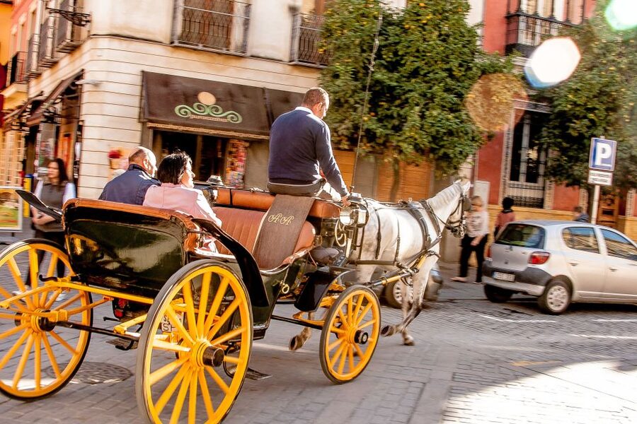 Seville: Authentic and Romantic Horse-Drawn Carriage Ride - Key highlights to look for before you ride