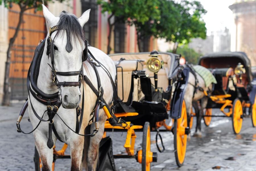 Seville: Authentic and Romantic Horse-Drawn Carriage Ride - FAQ