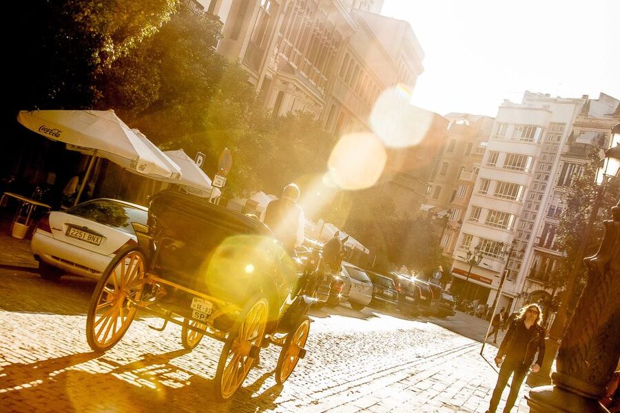 Seville: Authentic and Romantic Horse-Drawn Carriage Ride - Why this horse-drawn Seville ride makes sense