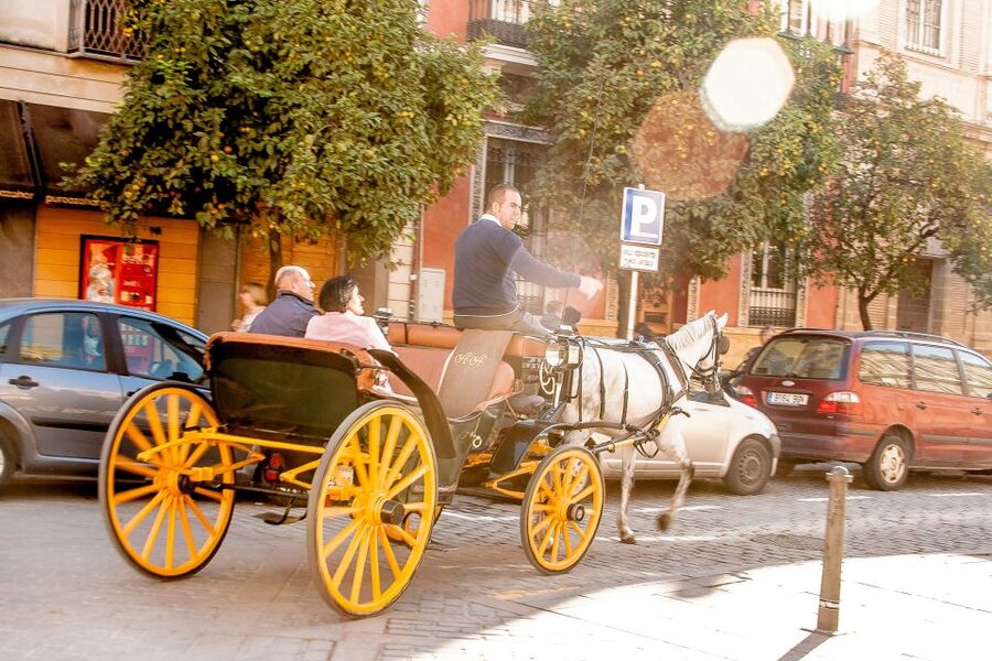 Seville: Authentic and Romantic Horse-Drawn Carriage Ride - Pickup, drop-off, and why the exact meeting point affects your mood