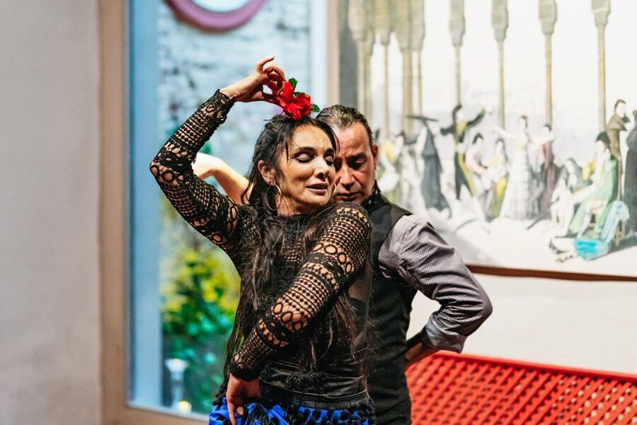 Seville: Casa de la Memoria Flamenco Show - What to Bring (Because Food and Drinks Are Not Included)