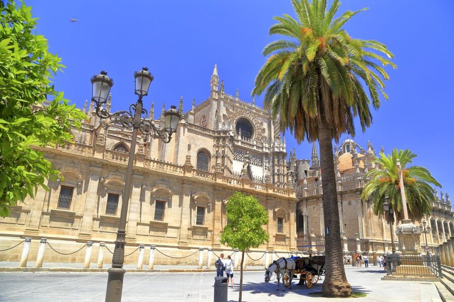 Seville: Cathedral, Giralda & Alcazar Entry With Guided Tour - Climbing the Giralda: What You Gain, and What You Should Expect Physically