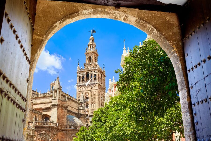 Seville: Cathedral, Giralda, and Alcazar Guided Tour - Price and value check for a $66 half-day