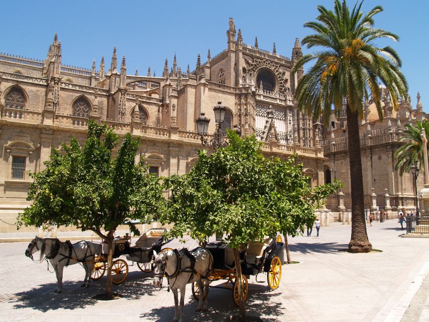 Seville: Cathedral & Giralda Guided Tour with Entry Tickets - Who this tour suits best, and who might prefer another plan