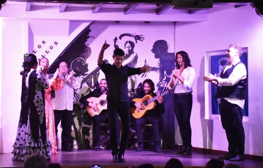 Seville: Flamenco Show at Tablao Los Gallos - Who this flamenco show is best for