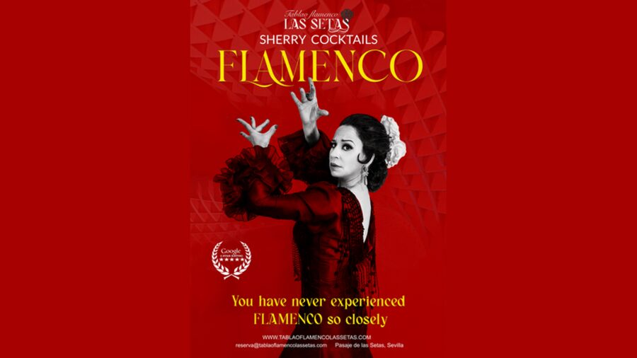 Seville: Flamenco Show Ticket at Tablao Flamenco Las Setas - Key highlights that make this show worth your night