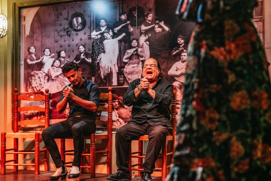 Seville: Flamenco Show with Andalusian Dinner at La Cantaora - Drink and wine: included, but manage your expectations