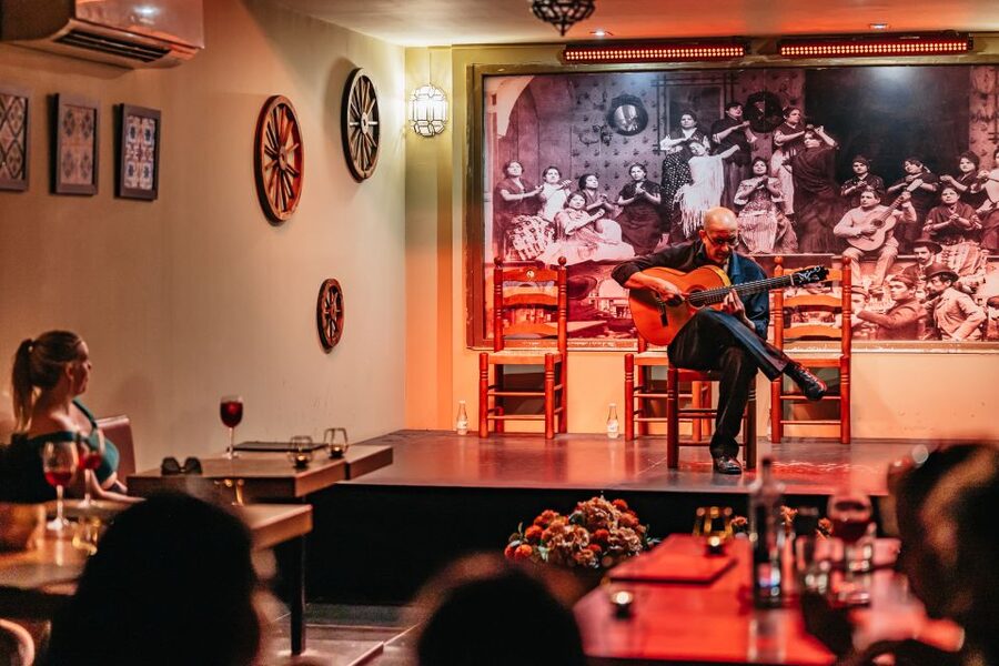 Seville: Flamenco Show with Andalusian Dinner at La Cantaora - Who should book this flamenco night, and who might prefer something else