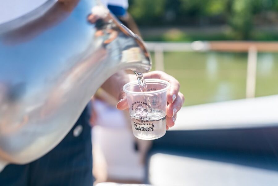 Seville: Guadalquivir Boat Tour with Optional Lunch/Dinner - Boat comfort details that matter in real life