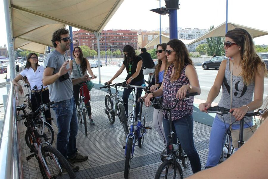 Seville: Highlights Bike Tour with Local Guide - Price, group style, and bike comfort: what $34 really buys