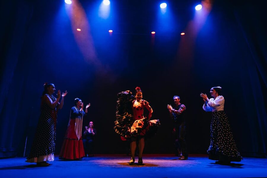 Seville: Live Flamenco Dancing Show Ticket at the Theater - Staff, Atmosphere, and the Pre-Show Bar Plan
