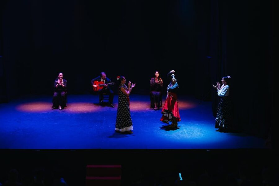 Seville: Live Flamenco Dancing Show Ticket at the Theater - Price and Value: What $27 Buys in Seville