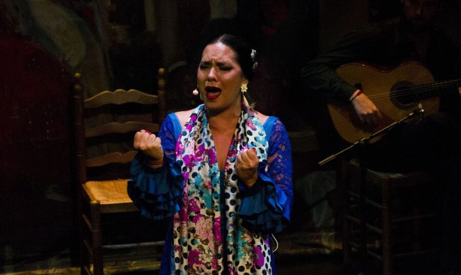 Seville: Live Flamenco Show at "Teatro Flamenco Triana" - Why This Show Feels Different: Live Art, Not a Bar-Show