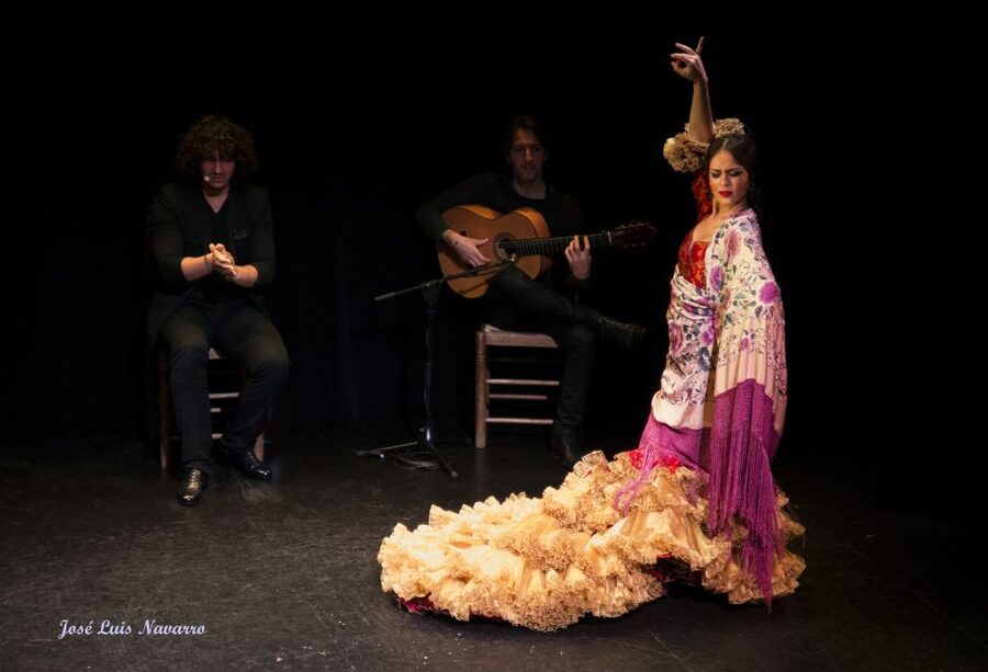 Seville: Live Flamenco Show at "Teatro Flamenco Triana" - Price and Value: Is $28 a Smart Spend?