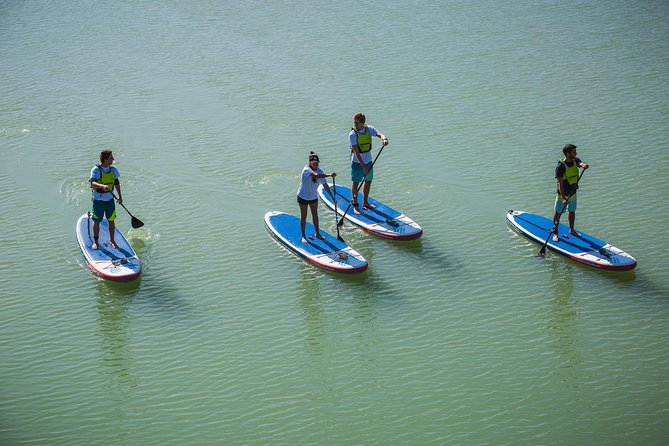 Seville: Paddle Surf Route and Class - Price and Value: Why About $35 for 90 Minutes Works