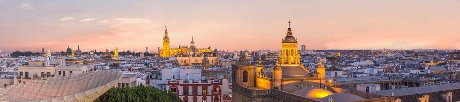 Seville: Priority Access Cathedral & Giralda Tour - After the tour: best way to enjoy the view again