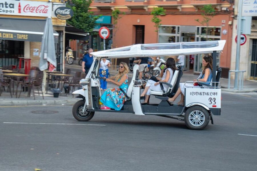 Seville: Private City Tour by Eco Tuk Tuk - Torre del Oro and Real Maestranza: classic Seville exteriors without the detour