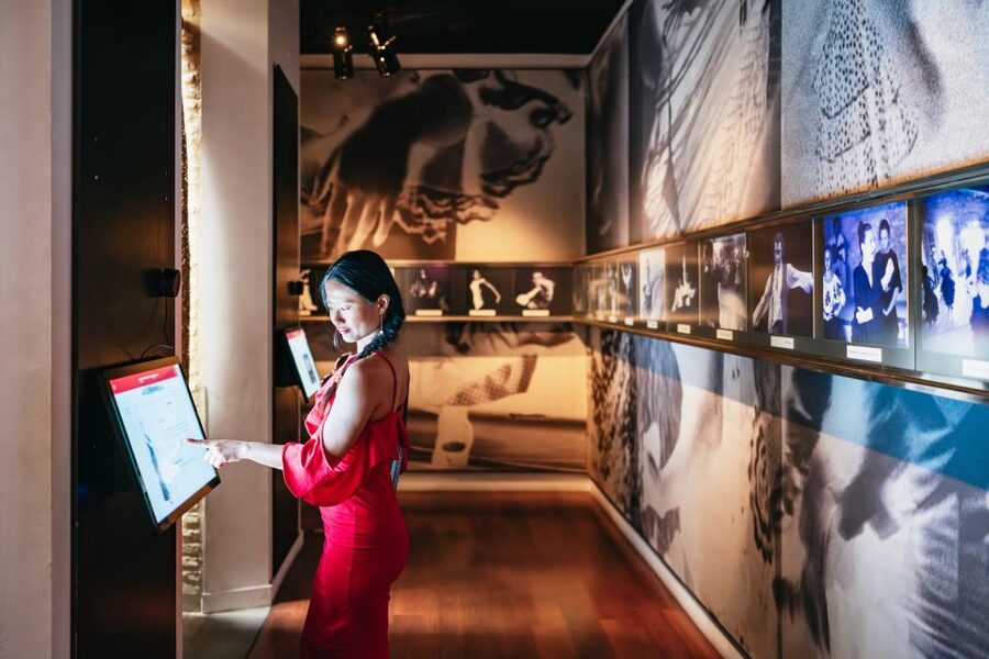 Seville: Puro Flamenco Show with Optional Museum Ticket - Museum-Plus Option: Best Times to Visit the Flamenco Dance Museum