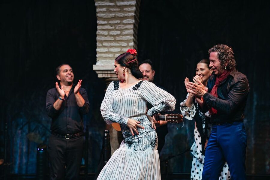 Seville: Puro Flamenco Show with Optional Museum Ticket - Cost and Value: Is This About $34 Worth It?
