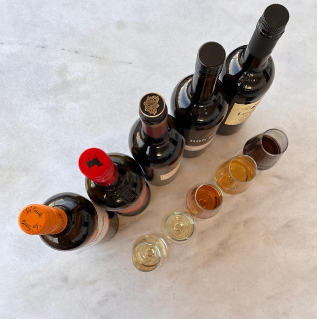 Seville: Sherry Wine Tasting with Light Snacks - The five sherries, and how the guide helps you taste them