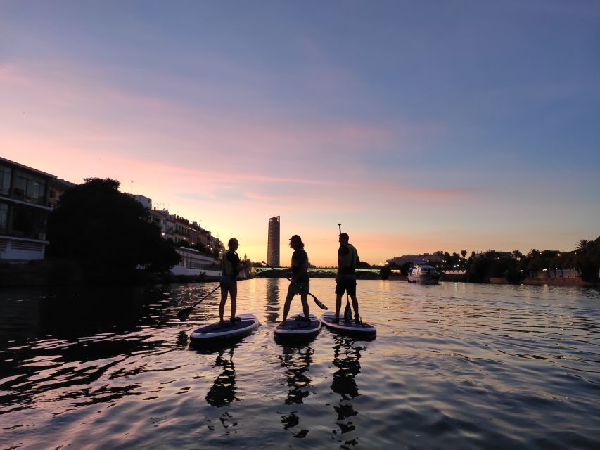 Seville: Sunset and Evening Paddle Boarding Tour - Why Paddling Seville After Dark Feels Like a Real Upgrade