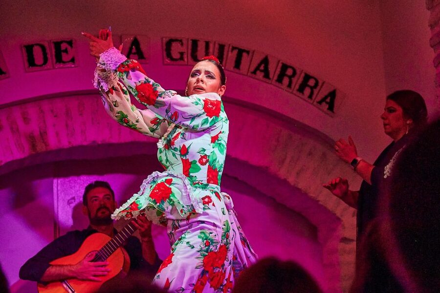 Seville: Ticket to Flamenco Show at La Casa de la Guitarra - The 1-Hour Performance: Alegrías, Castanets, and Up-Close Talent
