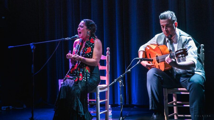 Seville: Traditional Flamenco Show in Triana - Price and value: is $26 a good deal?