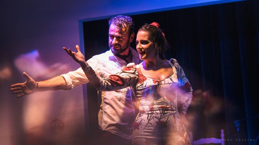 Seville: Traditional Flamenco Show in Triana - Who this Seville flamenco show is best for