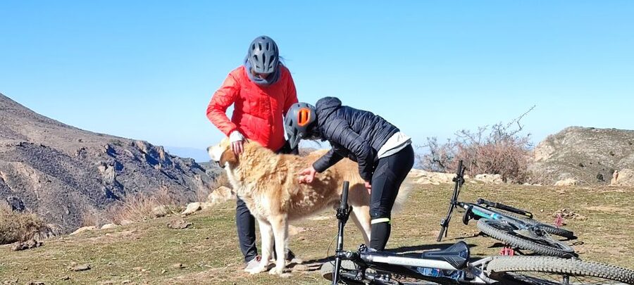 Sierra Nevada Small Group E-Bike Tour - Breaks, coffee, and the halfway food stop that keeps smiles coming