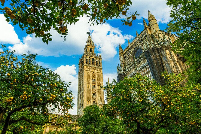 Skip the Line Seville Alcázar, Cathedral & Giralda Guided Tour - Patio de las Doncellas: tiles, water, and the quiet middle of the route