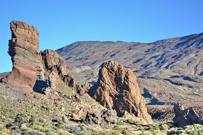Small Group Teide National Park Volcanic and Forest Wonders - Key highlights to look for on this Teide day trip