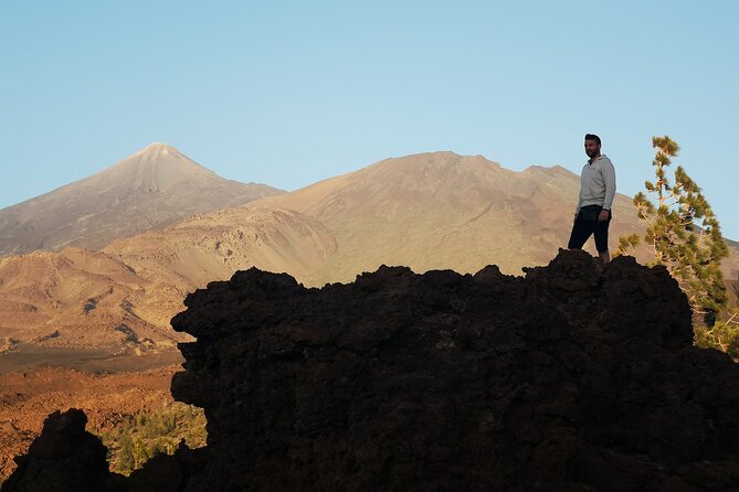 Small Group Teide National Park Volcanic and Forest Wonders - El Pino Gordo and Mirador de Vilaflor: the “old tree” proof